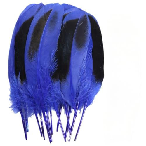 120 pieces colourful feathers, mixed feathers, feathers for crafts, feathers decoration, natural feathers, feathers for wedding party decoration (Royal blue) von Cazqgoy