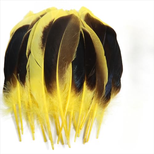 120 pieces colourful feathers, mixed feathers, feathers for crafts, feathers decoration, natural feathers, feathers for wedding party decoration (Yellow) von Cazqgoy