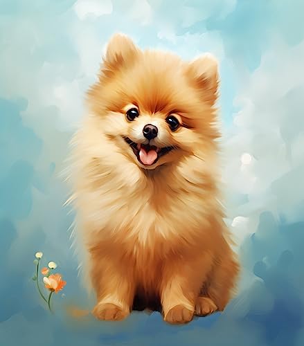 Ccfqiangtie Malen Nach Zahlen Erwachsene Kinder,Niedlicher Tierhund Pomeranian,DIY Handgemalt Ölgemälde für Anfänger mit 3 Pinsel und Acrylfarbe,40x50cm von Ccfqiangtie