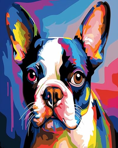 Malen nach Zahlen für Erwachsene,Bunte Tiere Boston Terrier Hund,DIY Handgemalt Ölgemälde Kit Mit Pinsels und Acrylfarbe Haus Dekoration Geschenk,40x50cm von Ccqiangtie-stroe