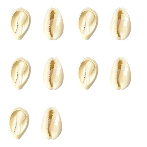 10pcs Natürliche Conch Shell Tasten Mit Einzigartigen Mustern Die Sich Perfekt Für Modedesigner Und Bastelprojektkleidung Versorgen Lassen 10pcs Natürliche Conch Shell Tasten Mit Einzigartigen Mustern Die Sich Perfekt Für Modedesigner Und Bastelprojektkleidung Versorgen Lassen von CeaBulo