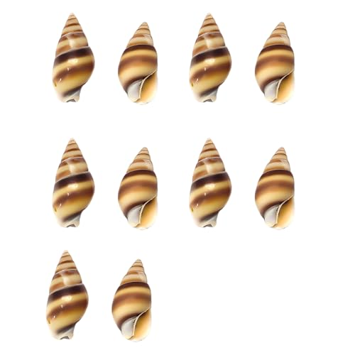 10pcs Natürliche Conch Shell Tasten Mit Einzigartigen Mustern Die Sich Perfekt Für Modedesigner Und Bastelprojektkleidung Versorgen Lassen von CeaBulo