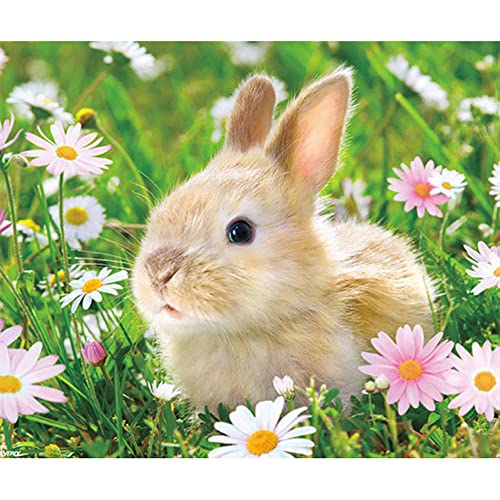 5D Diamond Painting Set groß,Kaninchen Blumen DIY Diamant Painting Kit für Erwachsene Kinder,Kristall Strass Stickerei Kreuzstich Kunst,Wohnzimmer Schlafzimmer Büro Wand Dekoration Round Drill 40x50cm von Cekog
