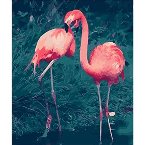 Malen Nach Zahlen Erwachsene,Flamingo DIY Handgemalt Ölgemälde Leinwand Kits mit Pinseln Acrylpigment Zeichnung für Erwachsene Kinder Paint by Numbers für Haus Wand Decor 40x50cm Mit Rahmen Malen Nach Zahlen Erwachsene,Flamingo DIY Handgemalt Ölgemälde Leinwand Kits mit Pinseln Acrylpigment Zeichnung für Erwachsene Kinder Paint by Numbers für Haus Wand Decor 40x50cm Mit Rahmen von Cekog