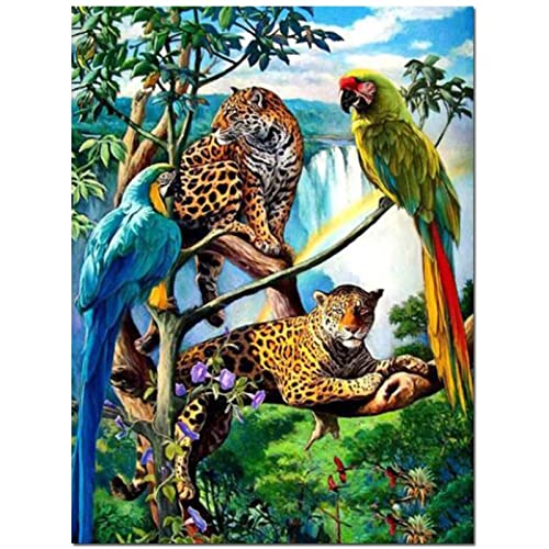 Malen Nach Zahlen Papageien-Leopard-Tier DIY Handgemalt Ölgemälde Leinwand Kits für Erwachsene Kinder mit Pinseln Acrylpigment Zeichnung Paint by Numbers für Haus Wand Decor 60x75cm Ohne Rahmen von Cekog