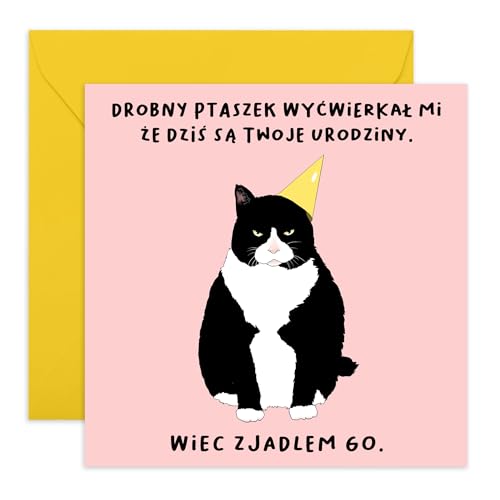 Central 23 Humorystyczna kartka urodzinowa - Wszystkiego najlepszego dla przyjaciół - Zabawny projekt - Kartka urodzinowa z kotem - Zawiera zabawne naklejki von Central 23