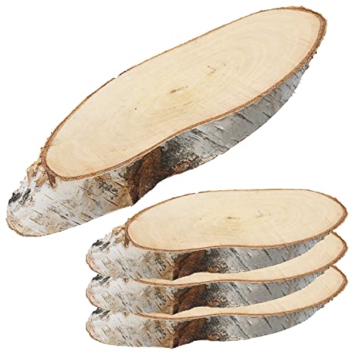 Baumscheibe Holzscheibe 4er Set │ 14x29x2,5cm Birke Naturprodukt │ Scheibe Holzplatte Dekoelement Baumscheibe Holzscheibe 4er Set │ 14x29x2,5cm Birke Naturprodukt │ Scheibe Holzplatte Dekoelement von Cepewa