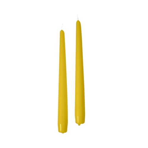 Cereria di Giorgio Risthò konische Kerzen für Kerzenhalter, Paraffinwachs, Senfrost, 2,2 cm, 10 Stück von Cereria di Giorgio