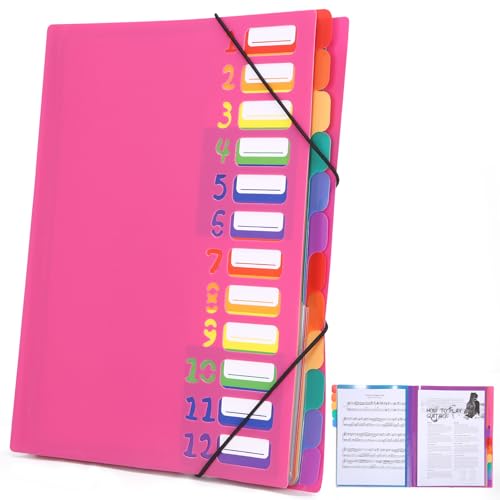 Dokumentenmappe A4,Tragbar Fächermappe mit 12 Fächern,Mit Etiketten,A4 Projektordner,mit Gummizug,Wasserdicht,zur Schreibtischorganisation und Aufbewahrung von Projektunterlagen,Rosa Red von Cexovo