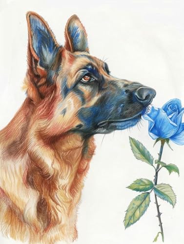 Chaozhirui DIY Kreuzstich-Stickset Stickpackung: Hund und bunte Blumen Kreuzstich-Set aus Baumwolle, 11CT-40X50CM Chaozhirui DIY Kreuzstich-Stickset Stickpackung: Hund und bunte Blumen Kreuzstich-Set aus Baumwolle, 11CT-40X50CM von Chaozhirui