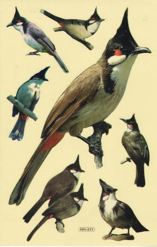 Vögel Tiere Specht Aufkleber 7-teilig 1 Blatt 270 mm x 180 mm Sticker Basteln Kinder Party Vögel Tiere Specht Aufkleber 7-teilig 1 Blatt 270 mm x 180 mm Sticker Basteln Kinder Party von Charo