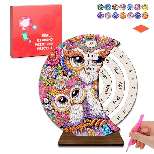 CharySim 1 Stück Diamond Painting Kalender Diamant Painting Kinder Geschenkideen Mädchen 6-14 Jahre Teenager Bastelset Erwachsene Basteln Mädchen 7 8 9 10 11 12 Jahre Geburtstagsgeschenke Eule von CharySim
