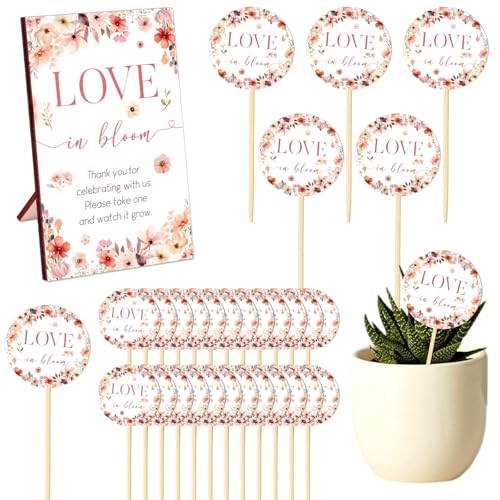 Cheerupp Wildblumen-Brautparty, Sukkulenten-Geschenke, Blumenliebe in Blüte, Sukkulenten-Anhänger enthalten 1 Holz-Tischschild, 50 kleine Etiketten für Braut, Hochzeit, Party, Gastgeschenk, Dekoration Cheerupp Wildblumen-Brautparty, Sukkulenten-Geschenke, Blumenliebe in Blüte, Sukkulenten-Anhänger enthalten 1 Holz-Tischschild, 50 kleine Etiketten für Braut, Hochzeit, Party, Gastgeschenk, Dekoration von Cheerupp