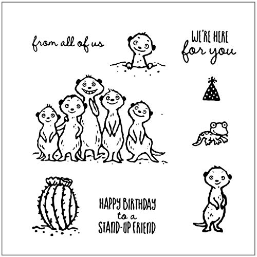 Chenggong Silikonstempel Geburtstag Happy Birthday Silikon Stempel Sammelalbum Prägung Fotoalbum Dekorative Stempel Clear Stamp von Chenggong