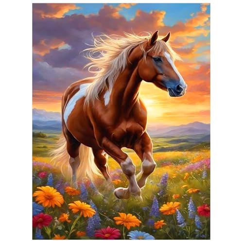 Cheukka Diamond Painting Set, Pferd 5D Diamant Painting Bilder, DIY Mosaikherstellung Diamond Art Kits Diamant Malerei Set für Erwachsene und Kinder, Haus Wanddeko 30x40cm von Cheukka