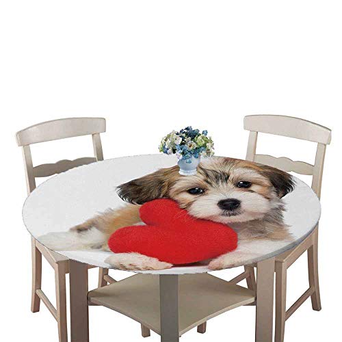 Chickw1 Tischdecke Runde Wasserdicht Abwaschbar Hundedruck Tischschoner Elastische Kante,Tischtuch aus Polyester für Küche, Esszimmer, Garten, Balkon oder Camping (Labrador Pudel,90cm) von Chickwin-Shop