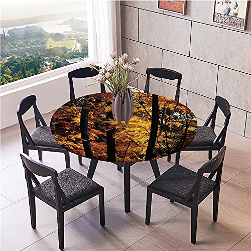 Chickw1 Tischdecke Runde Wasserdicht Abwaschbar Natürliches 3D-Landschaftsmuster Tischschoner Elastische Kante, Tischtuch aus Polyester für Küche, Esszimmer, Garten, Balkon (6,100cm) von Chickwin-Shop
