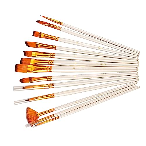 Chiyyak 13PCS Künstler Pinsel Set Perlweiß Bicolor Nylon Borsten Lange Griff Öl Acryl Pinsel Aquarell Set von Chiyyak