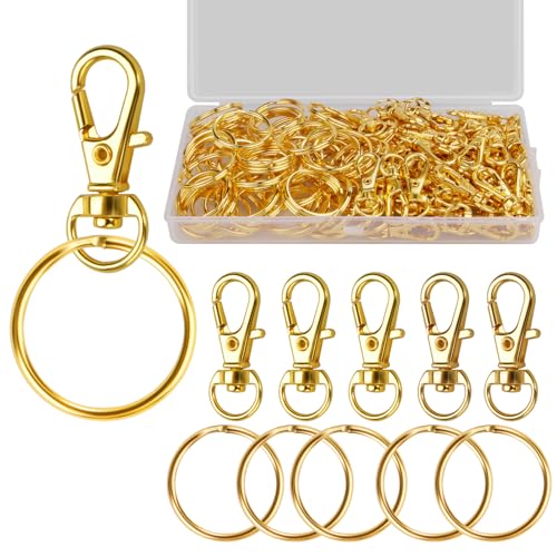 100 Stück Schlüsselringe Karabinerhaken Klein Schlüsselanhänger Drehgelenk Karabiner Edelstahl mit Kunststoffbox Schlüsselanhänger Machen Basteln(Golden) von Chmejia