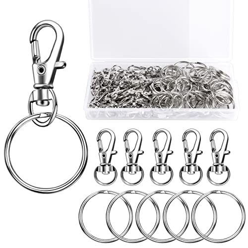 100 Stück Schlüsselringe Karabinerhaken Klein Schlüsselanhänger Drehgelenk Karabiner Edelstahl mit Kunststoffbox Schlüsselanhänger Machen Basteln von Chmejia