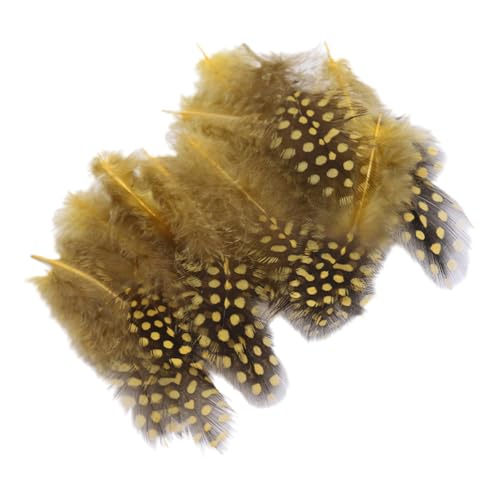 Federn Basteln Zum 20 Stile Bunte Perlhuhnfedern Bastelfedern Vogelfedern Indianer Feathers Fasanenfedern Deko Bastel (1000 Stück,7) von ChongKuan