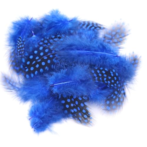 Federn Basteln Zum 20 Stile Bunte Perlhuhnfedern Bastelfedern Vogelfedern Indianer Feathers Fasanenfedern Deko Bastel (50 Stück,13) von ChongKuan