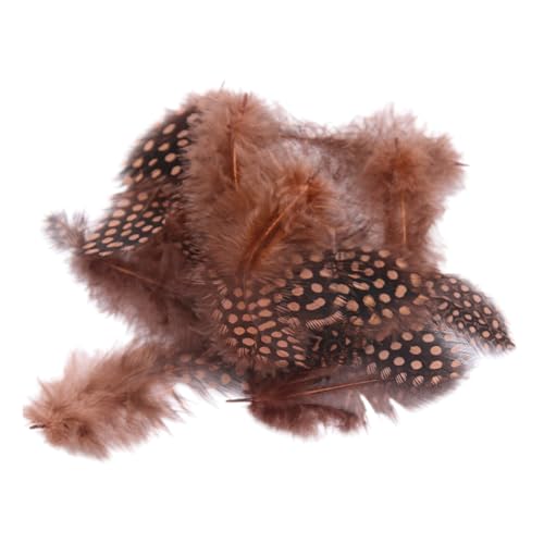 Federn Basteln Zum 20 Stile Bunte Perlhuhnfedern Bastelfedern Vogelfedern Indianer Feathers Fasanenfedern Deko Bastel (50 Stück,15) von ChongKuan