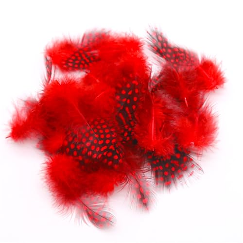 Federn Basteln Zum 20 Stile Bunte Perlhuhnfedern Bastelfedern Vogelfedern Indianer Feathers Fasanenfedern Deko Bastel (50 Stück,3) von ChongKuan