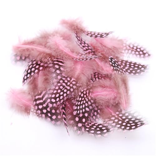 Federn Basteln Zum 20 Stile Bunte Perlhuhnfedern Bastelfedern Vogelfedern Indianer Feathers Fasanenfedern Deko Bastel (800 Stück,11) von ChongKuan