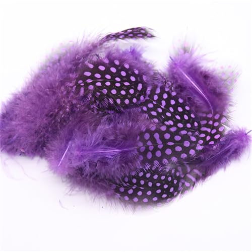 Federn Basteln Zum 20 Stile Bunte Perlhuhnfedern Bastelfedern Vogelfedern Indianer Feathers Fasanenfedern Deko Bastel (800 Stück,14) von ChongKuan