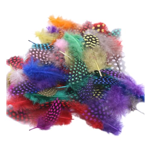 Federn Basteln Zum 20 Stile Bunte Perlhuhnfedern Bastelfedern Vogelfedern Indianer Feathers Fasanenfedern Deko Bastel (800 Stück,2) von ChongKuan