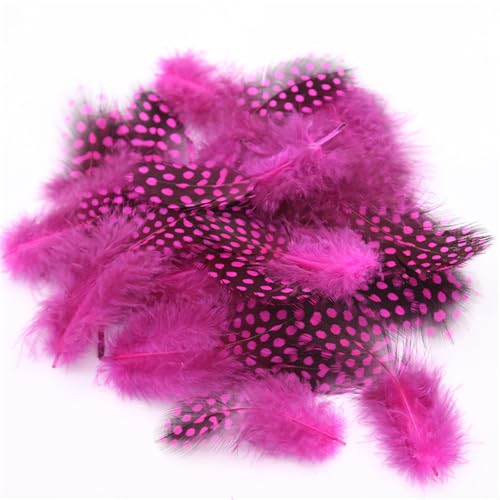 Federn Basteln Zum 20 Stile Bunte Perlhuhnfedern Bastelfedern Vogelfedern Indianer Feathers Fasanenfedern Deko Bastel (800 Stück,4) von ChongKuan