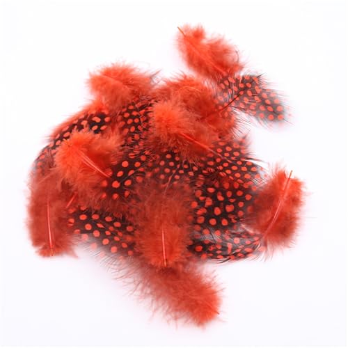 Federn Basteln Zum 20 Stile Bunte Perlhuhnfedern Bastelfedern Vogelfedern Indianer Feathers Fasanenfedern Deko Bastel (800 Stück,5) von ChongKuan