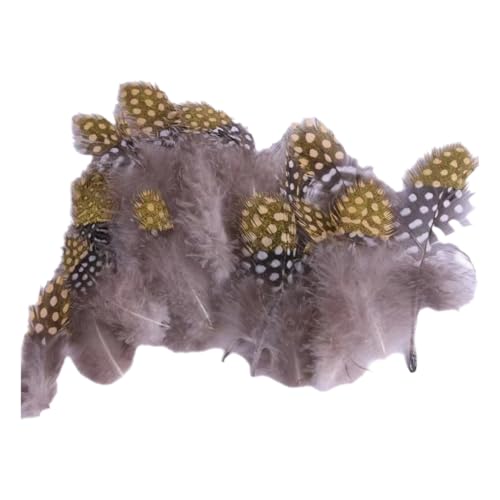 Federn Zum Basteln 20 Stile Bunte Perlhuhnfedern Bastelfedern Vogelfedern Indianer Feathers Fasanenfedern Deko Bastel (1000 Stück,20) von ChongKuan