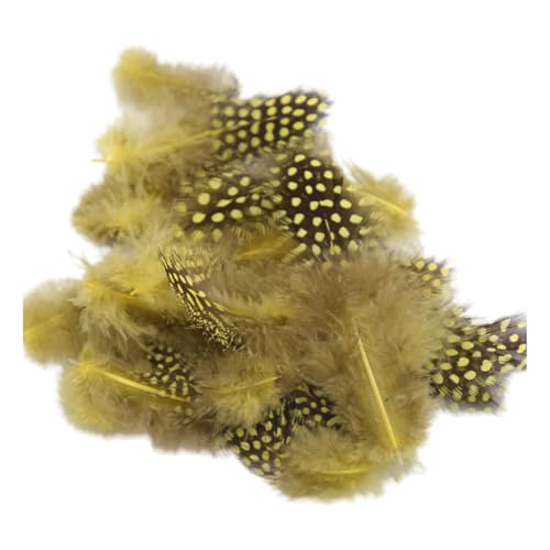 Federn Zum Basteln 20 Stile Bunte Perlhuhnfedern Bastelfedern Vogelfedern Indianer Feathers Fasanenfedern Deko Bastel (250 Stück,6) von ChongKuan