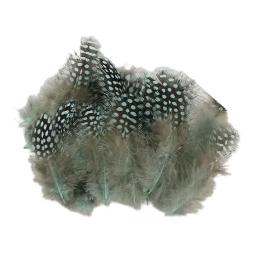 Federn Zum Basteln 20 Stile Bunte Perlhuhnfedern Bastelfedern Vogelfedern Indianer Feathers Fasanenfedern Deko Bastel (800 Stück,18) von ChongKuan