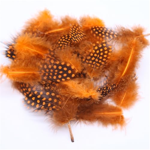 Federn Zum Basteln 20 Stile Bunte Perlhuhnfedern Bastelfedern Vogelfedern Indianer Feathers Fasanenfedern Deko Bastel (800 Stück,8) von ChongKuan