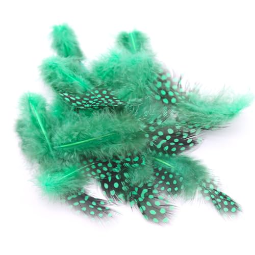 Federn Zum Basteln 20 Stile Bunte Perlhuhnfedern Bastelfedern Vogelfedern Indianer Feathers Fasanenfedern Deko Bastel (800 Stück,9) von ChongKuan