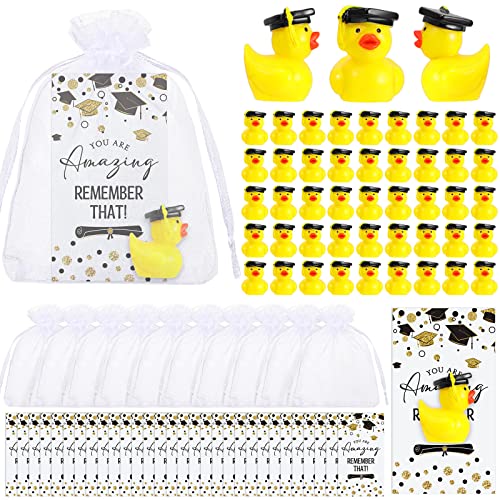 Chunful 72 Sets Klasse 2025 Abschlussgeschenke Harz Enten Lustige Ente mit inspirierenden Glückwunschkarten Organzabeutel für Schule, Student, College, Sohn, Tochter, Vorschule, Abschlussfeier Chunful 72 Sets Klasse 2025 Abschlussgeschenke Harz Enten Lustige Ente mit inspirierenden Glückwunschkarten Organzabeutel für Schule, Student, College, Sohn, Tochter, Vorschule, Abschlussfeier von Chunful