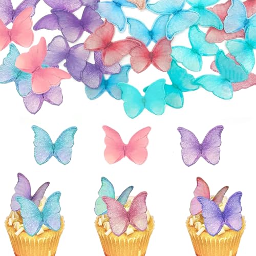 48pcs Schmetterlinge Tortendeko Geburtstag Tortendeko Cupcake Toppers Kuchen Dekoration für Kuchen Deko (48, Mehrfarbig) von Chyuxinda