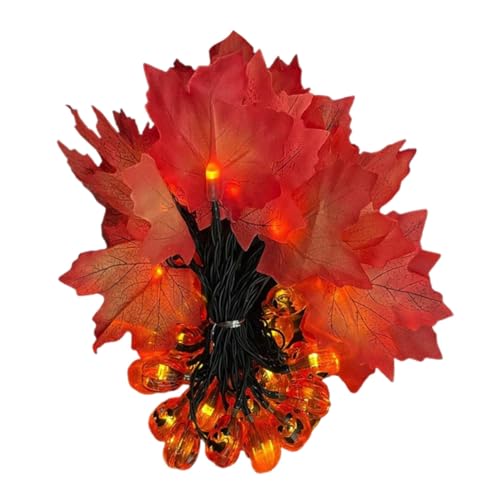 Ciieeo 1 Stück LED Kürbis Lichterkette mit Ahornblättern Wasserdichte Solar Gartenbeleuchtung für Halloween mit Lichtern für Außenbereich und Festliche Dekoration von Ciieeo