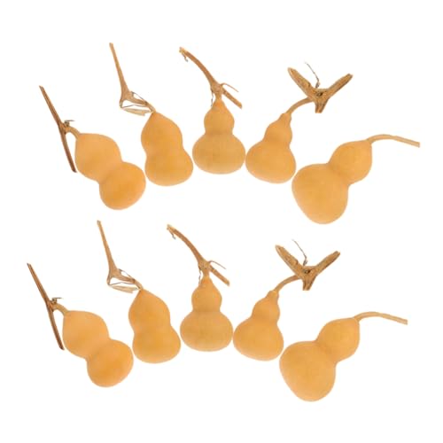 Ciieeo 10 Stück Teiliges Mini Kalebassen Dekor Natürliche Desktop Gourd Crafts Handgefertigte Calabash Ornamente Leichte Miniatur Zufälliger Stil Symbolische Bedeutung für Zuhause und Ciieeo 10 Stück Teiliges Mini Kalebassen Dekor Natürliche Desktop Gourd Crafts Handgefertigte Calabash Ornamente Leichte Miniatur Zufälliger Stil Symbolische Bedeutung für Zuhause und von Ciieeo