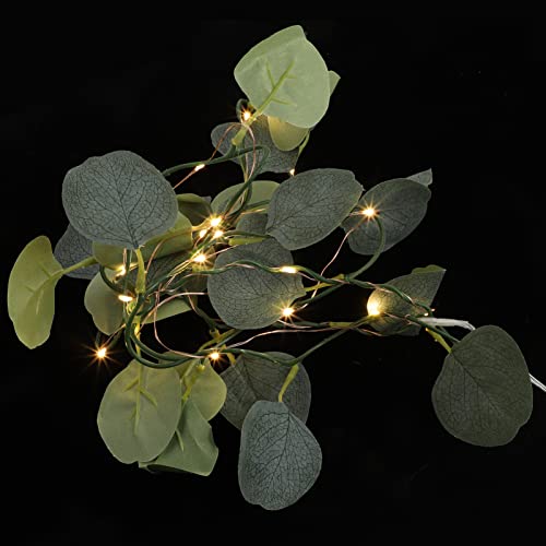 Ciieeo Eukalyptus Girlande Lichter Lichterkette Für Hochzeit 20 Power Lichterkette Ciieeo Eukalyptus Girlande Lichter Lichterkette Für Hochzeit 20 Power Lichterkette von Ciieeo