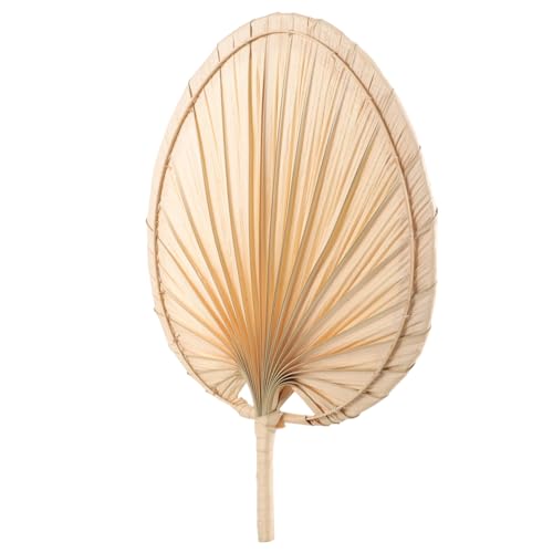 Ciieeo Handgefertigter Sommerfächer aus Palmblatt Leichter Tragbarer Handventilator Kühler Gewebter Fächer für Erwachsene und Multifunktionaler Vintage-fächer für Heiße Tage und von Ciieeo