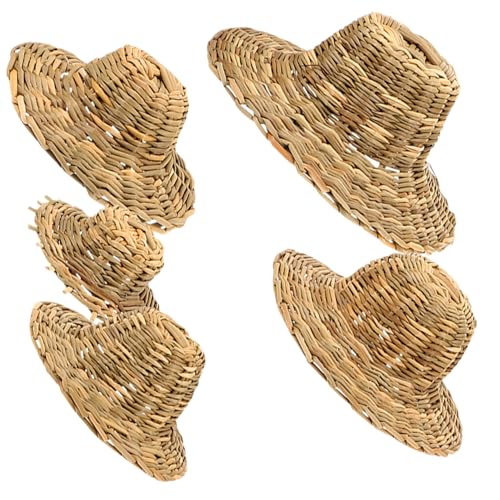 Ciieeo Mini-Strohhüte zum Basteln und Dekorieren, leicht, kleiner Sombrero für Foto-Requisiten, DIY-Ornamente, Schreibtisch und Heimdekoration, Geschenk, 5 Stück von Ciieeo