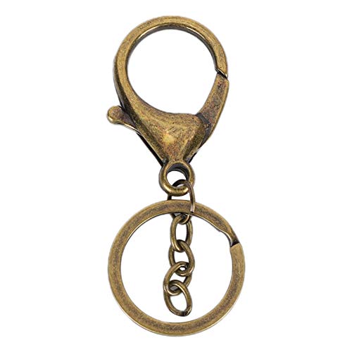 10 Pcs Metal Hook Keychain, Durable Clasp With Rings For Key Jewellery Diy Crafts (Gold) von Cikonielf