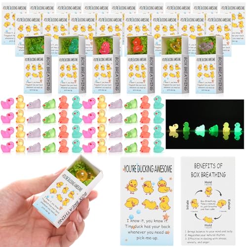 Cinnvoice 48 Sets Wertschätzungsgeschenke für Mitarbeiter, leuchtende Harz-Tiere, Atembox, Partygeschenk, Teambildung, emotionale Unterstützung, Geschenke, positives Dankeschön für Mitarbeiter von Cinnvoice