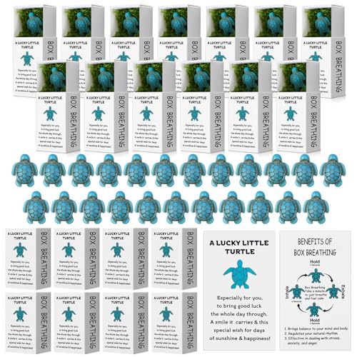 Cinnvoice 50 Sets Meeresschildkröte, Weihnachtsgeschenke, Mini-Box, Atmungsgeschenke, inspirierendes, kleines Taschentier-Geschenk für Weihnachten, Lehrer, Mitarbeiter, Kollegen Cinnvoice 50 Sets Meeresschildkröte, Weihnachtsgeschenke, Mini-Box, Atmungsgeschenke, inspirierendes, kleines Taschentier-Geschenk für Weihnachten, Lehrer, Mitarbeiter, Kollegen von Cinnvoice