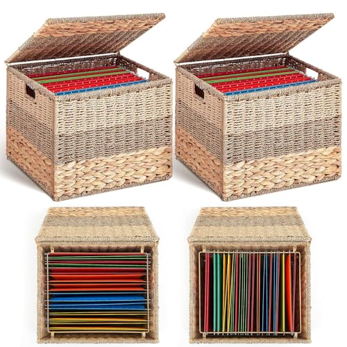 Cinnvoice Extra große dekorative Aktenbox aus Seegras, Hängeorganizer für Briefe und Rechtsgröße, Aktenschrank mit Deckel, Dokumentenmappe, Box für Zuhause, Büro, Dekoration, Wasserhyazinthe, 2 Stück Cinnvoice Extra große dekorative Aktenbox aus Seegras, Hängeorganizer für Briefe und Rechtsgröße, Aktenschrank mit Deckel, Dokumentenmappe, Box für Zuhause, Büro, Dekoration, Wasserhyazinthe, 2 Stück von Cinnvoice