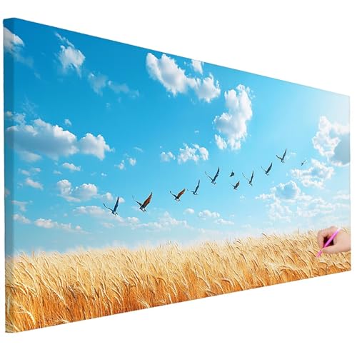 Diamond Painting Erwachsene Wolke Diamond Painting XXL 250x100cm 5D DIY Vogel Diamant Kunst Groß Set Basteln Erwachsene Diamant Malerei Stickerei Kreuzstich Set für Deko Wohnzimmer Geschenke D-46 von Ciooyxee